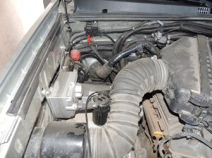 Prado 4.0_2