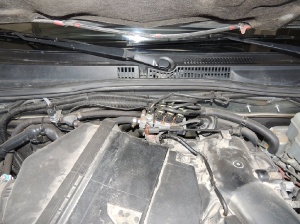 Prado 4.0_3