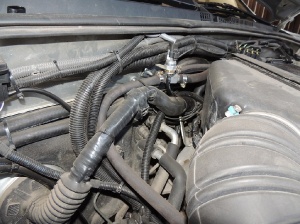 Prado 4.0_4